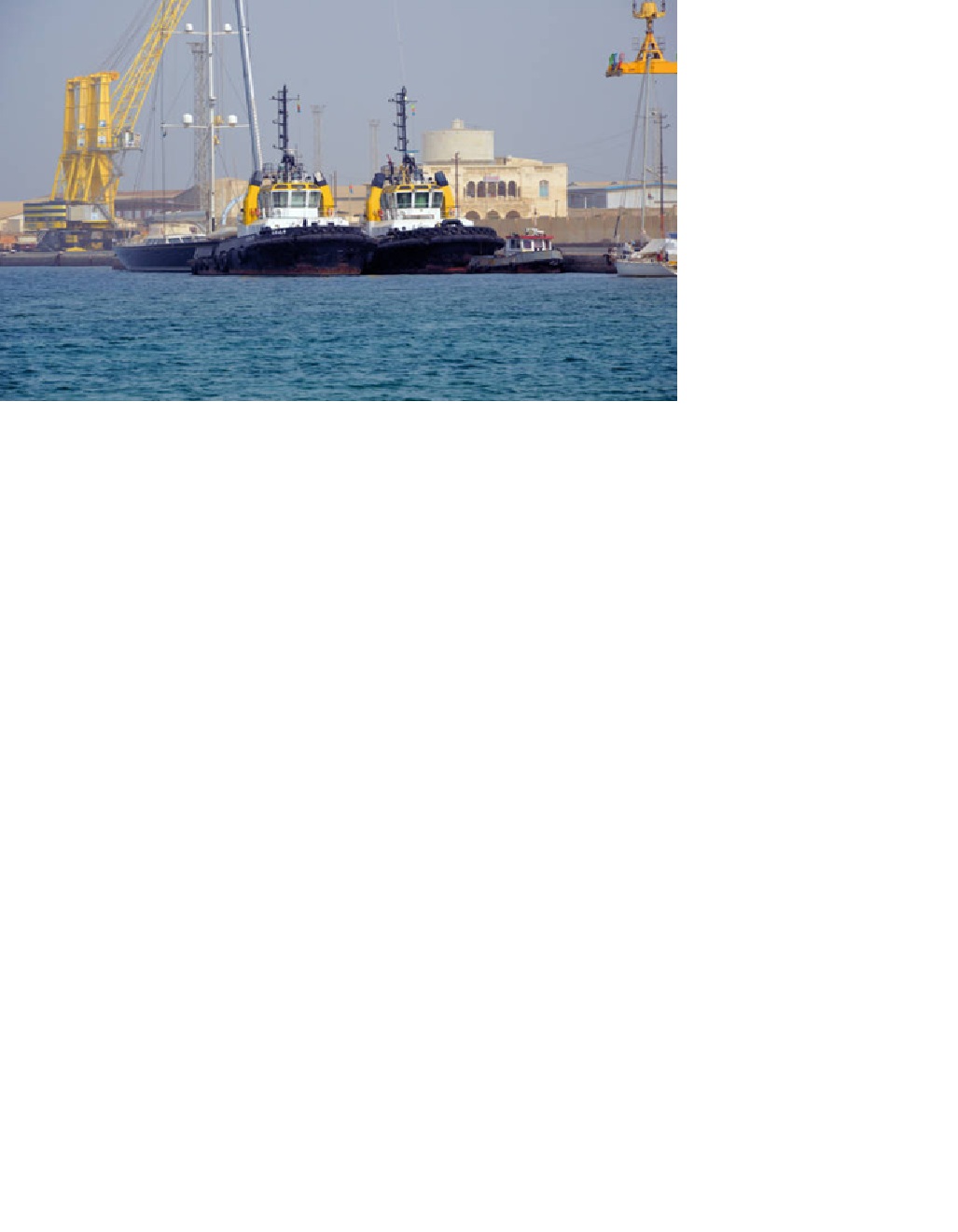 MCICE LOGISTIC SERVICES & TRADING